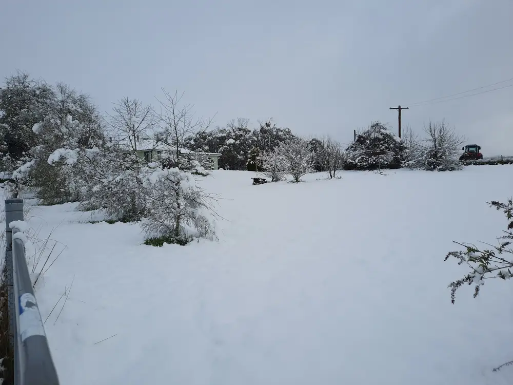 Winter snow on the farm at Peak View